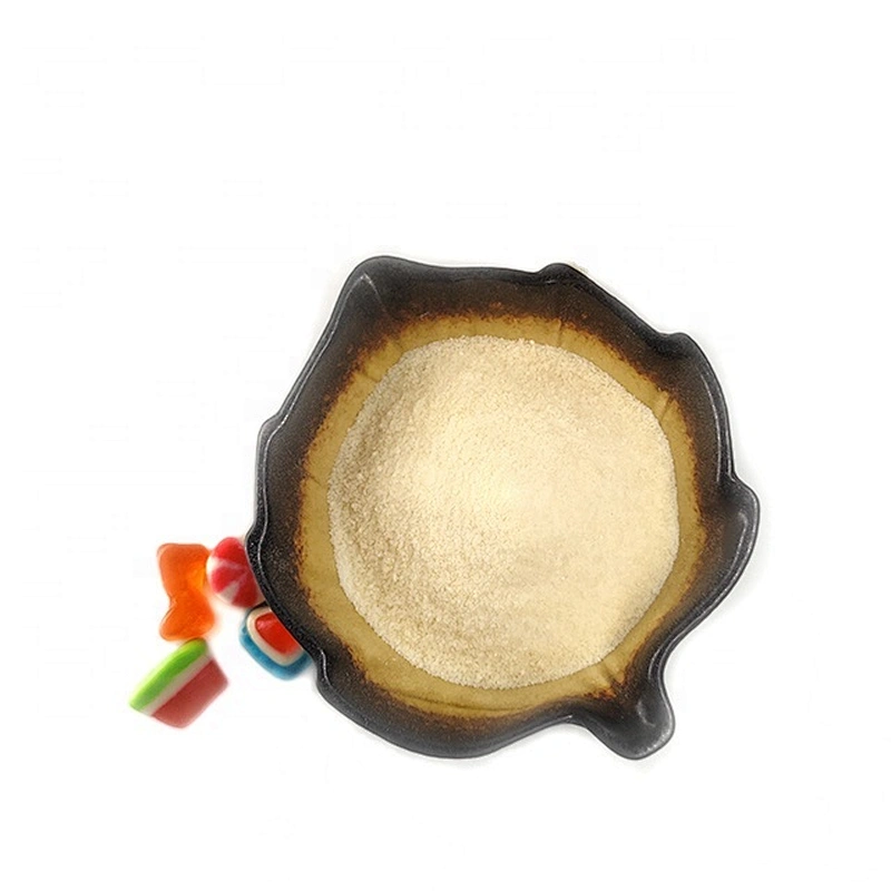 Hot sale Pharmaceutical Grade Gelatin Powder for medical use